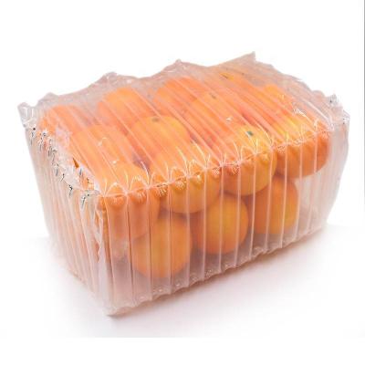 China 2021 Offers Shockproof Plastic Air Column Bag Cushion Envelope Packaging For Food Transportation for sale