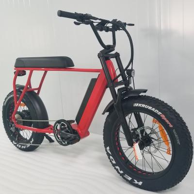 China 2019 ESHION Aluminum Alloy Model 73 Motor 750W Fat Electric Bike for sale