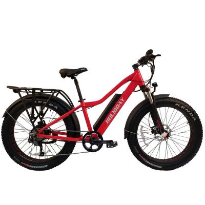 China Eshion 2021 standard hot sale bafang motor 48v500w front suspension big electric bike for sale