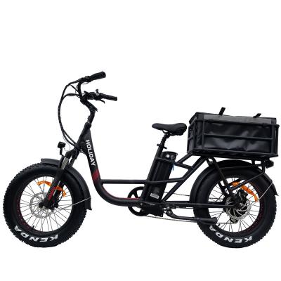 China Aluminum Alloy 48V Battery Available Double Wheel Fat Delivery High Quality Electric Cargo Bike for sale