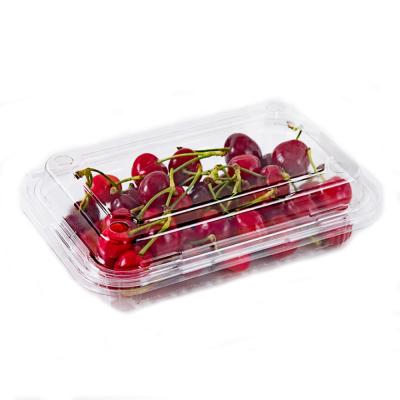 China food safe material & 300g Salad Clear Crystal Clear Packaging RPET/PET Rectangle Plastic Disposable Container With Lid Fruit Box for sale