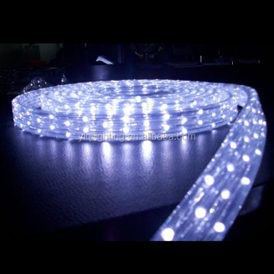 China LANDSCAPE 50m Street Christmas LED Rope Building Light For Holiday Santa Deer Shape for sale