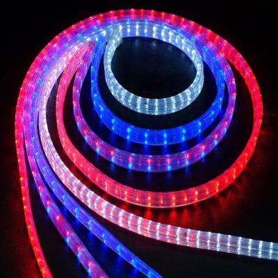 China Theme Park Flat Four-Wire Festival LED Decorative Rainbow 12V Waterproof Tube for sale