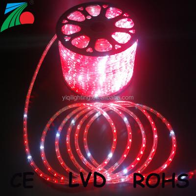 China Decoration 220v 110v 12v 24v RGB Led Rope Light With DMX Controller for sale