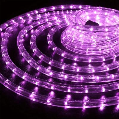 China Decorative Lighting Purple Led String Light For Christmas Decoration for sale