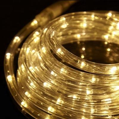 China 12V Low Voltage Outdoor Decorative Round LED Rainbow Two Wire Tube for sale