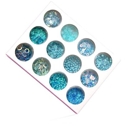 China High Quality 12 Nail Decoration Designs Nail Accessories Nail Art Sequin Stone Colorful Blue Nail Decoration Kit for sale