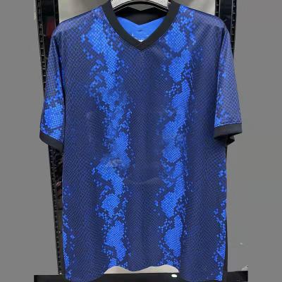 China Quick-drying season thailand quality custom new fans model football soccer shirt inter jersey for sale