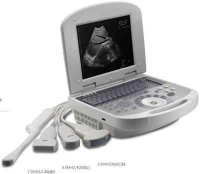 China Best Price 2d 3d 4d Color Doppler Animal Pregnancy Diagnosis Portable Ultrasound Machine for sale