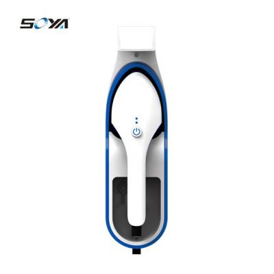 China Car Hot Fashion Travel Garment Steam Iron Portable Professional Steam Iron for sale