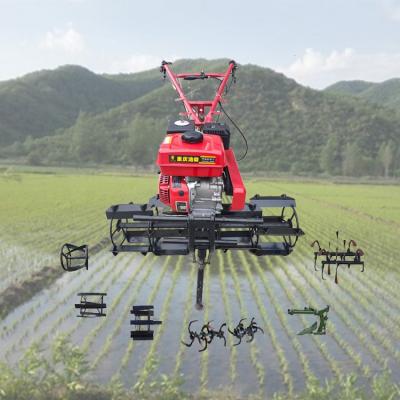 China Paddy Field Weeding Cultivator 177F/P 196cc 7HP Mini Tobacco Orchard Multi Rotary Use Vegetable Garden Paddy Field Equipment Tiller Power Cultivator for sale