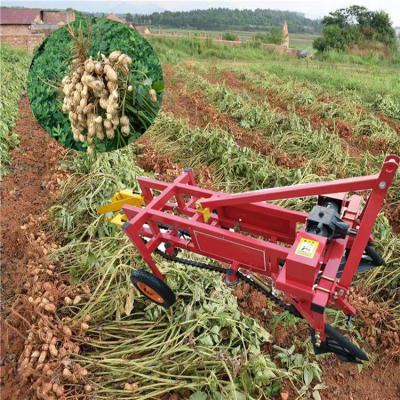 China Peanut china agricultural row 1 clamping 2 rows sprocket heavy duty earthnut tractor walking chain peanut harvester for tractor for sale