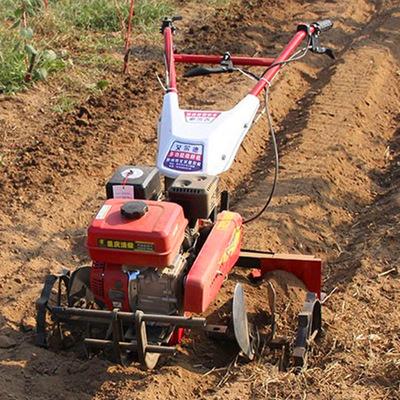 China Farms With Gasoline Engine 170F Mini Tiller Cultivator Hot Sale for sale