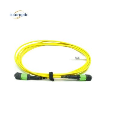 China Passive Optical Single Mode Patch Cord MPO-12 / APC-To-MPO12 / APC for sale