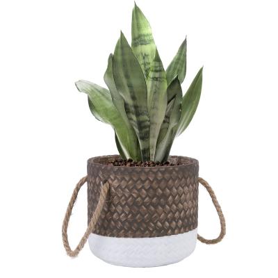 China Modern Home Plant Container Flower Living Room Planters Cement Decor Bamboo Woven Cement Flower Pot for sale