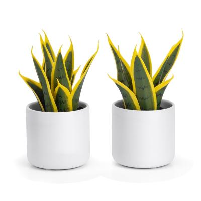 China Minimalist Mini Potted for Office Desk Decoration 2 Pack Artificial Plants with Ceramic Pot for sale