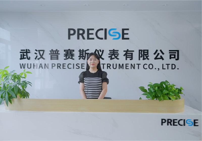 Επαληθευμένος προμηθευτής Κίνας - Wuhan Precise Instrument Co., Ltd.