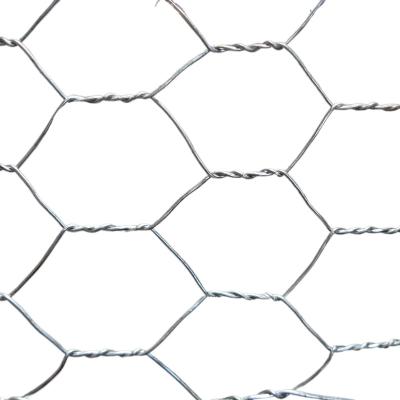 China Galvanized Stainless Steel And Retaining Wall Gabion Screen Mesh Strong And Durable for sale