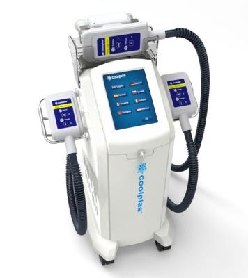 China la congelación scupting fresca de la grasa del cryolipolysis sincoheren adelgazar no quirúrgico del liposuction en venta