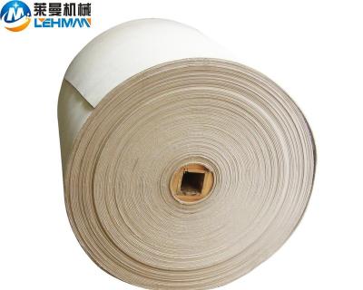 China Other Used For Cheap Mining Cement NN/EP Electric Motor Conveyor Belt for sale