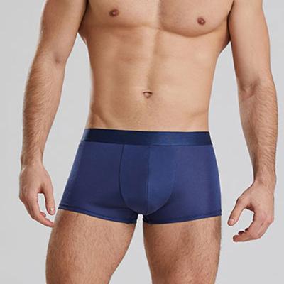 China High Quality Fashion Men's Soft 100% Silk Men's Breathable Underwear Briefs 6A Breathable Underwear Plus Size for sale