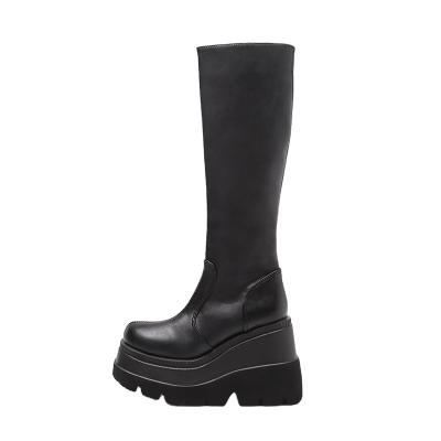 China Thermal High Heel Woman Boots 2022 Winter Punk Platform Shoes Plus Size Fashion Solid  Women's Mid Calf Boots chunky heels for ladies for sale