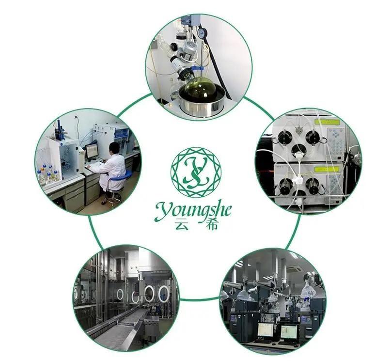 Verified China supplier - Chengdu YoungShe Chemical Co.,Ltd