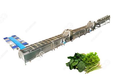 China CE Certified Stainless Steel Commercial Vegetable Washer Washing Line Vegetable Processing Plant for sale