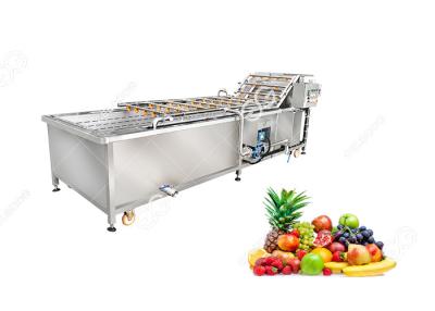 China Ce Certified Stainless Steel Fruit Processing Machine Fruit Mango Apple Washing Machine for sale