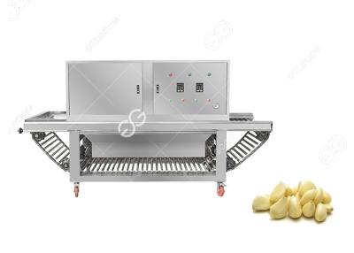 China 380V CE Certified Commercial Garlic Skin Remover Machine Garlic Peeling Machine For Sale Te koop