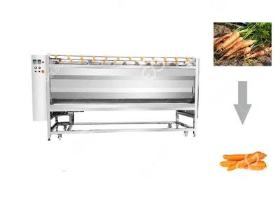 China Carrot Washing And Peeling Line Vegetable Washing Machine Commercial CE / ISO for sale