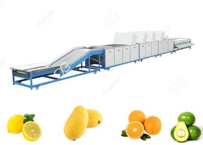 China 1t/H-5t/H Fruit Washing Equipment Fruit Washing Line For Fruit Export Sales for sale