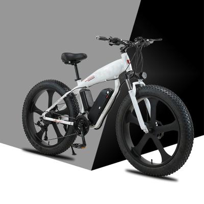 China Comparative multifunctional electric bicycle the other electric bicycle electric bicycle quickly for sale