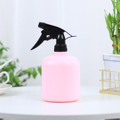 China Lightweight Hand Held Watering Can Garden Plastic Mini Indoor Watering Cans for sale