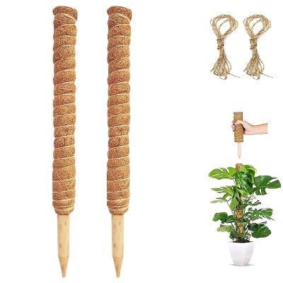 China Light Weight 30cm Free Sample 12Inc Plants Up Use In Running Plant Support Sticks Totem Clamping Fertilizer Coconut Stick Plant for sale