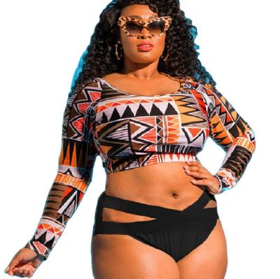 China High Quality Customizable Plus Size Bikinis Woman Quick Dry Large Size Swimwear for sale