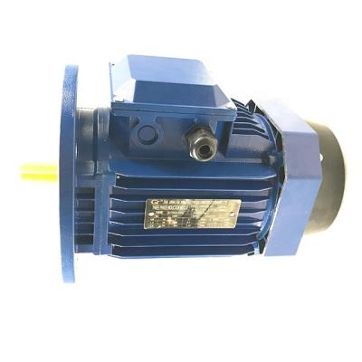 China YE2 4KW 5.5HP 2885PRM Explosion Proof AC ELECTRIC MOTOR for sale