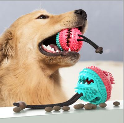 China Sustainable Dog Treat Chew Toys With Healthy Bell Teeth Pet Cleaning Toys for sale