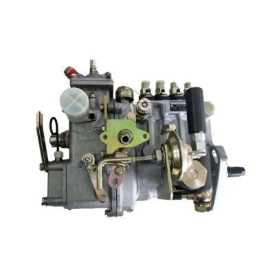 China High speed steel WEIFU 4pl223 fuel injection pump 4pl223 pump assembly for diesel engine for sale