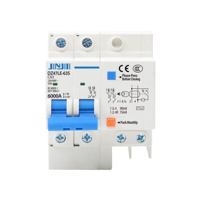 China Air Switch DZ47LE-63 2P 20A RCBO RCD RCCB MCB High Level Plastic Silver Copper Main Leakage Earth Miniature Circuit Breaker With CE CQC for sale