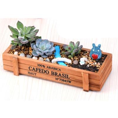 China Modern china products manufacturers garden artificial succulents planter pots flower plants fairy garden for sale