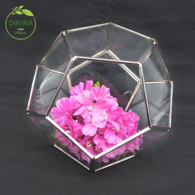 China CLASSIC Square Rectangle Real Geometric Plant Vases Matched Mini Greenhouse Glass Table for sale