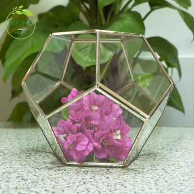 China Home Wholesale Gold Geometric Glass Mini Greenhouse Brass Plant Cube Hanging Miniature Clear Various Sizes for sale