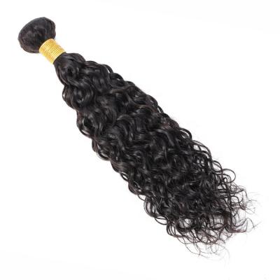 China Virgin Natural Human Hair Water Wave Color Weft Water Wave With Best Quality And Low Price Hair for sale