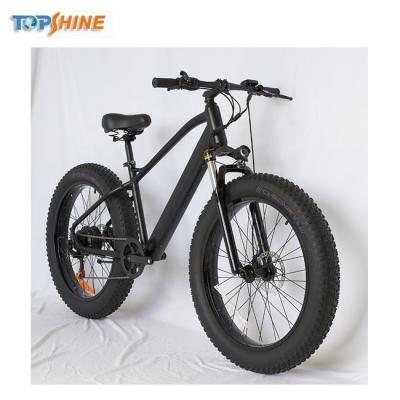 China Wholesale E-bike 48V Luxury Beach Cruiser Electric Bicycle 750W with GPS Locating System and WIFI hospot for sale