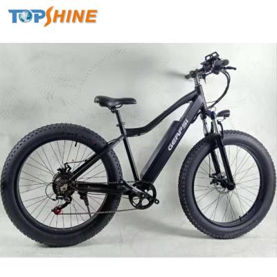 China Calories Calculate and Statistics 750W 48V Fat Tire Electric Bicycle with GPS Colorful Computer Remote Disable Motor for sale