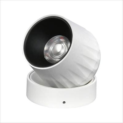 China Modern Home Office 10/15/20/30/40W Led Ceiling Light COB Down Light Led Spot Light for sale