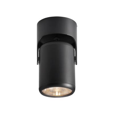 China Modern custom dimmable rotating downlights surface-mounted adjustable ceiling spotlights LED spotlights for sale