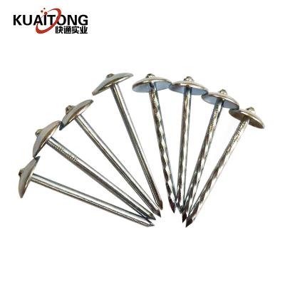 China Umbrella head Best Price Galvanize Umbrella Head Roofing Nails Umbrella Head Twist Shank Roofing Nails Umbrella Head Nails for sale