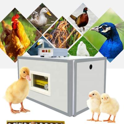 China New Farms Design 100 Egg Incubator Thermostat Duck Incubator Prices India for sale